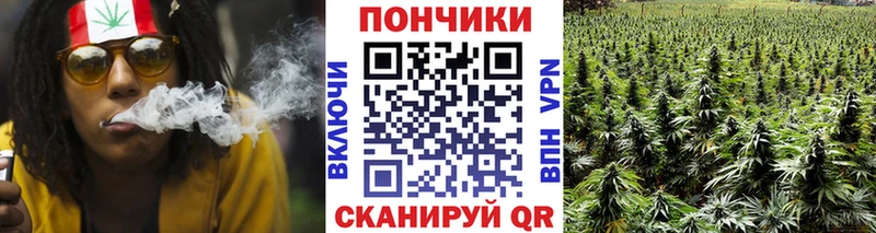 Шишки марихуана сатива  Райчихинск 